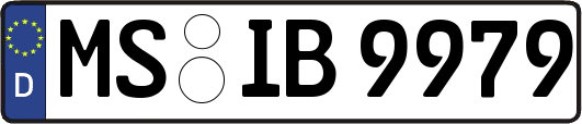 MS-IB9979
