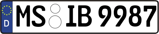 MS-IB9987