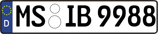 MS-IB9988