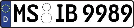MS-IB9989
