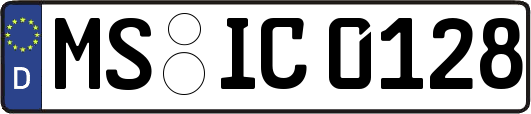 MS-IC0128