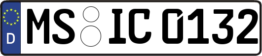MS-IC0132