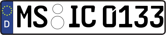MS-IC0133