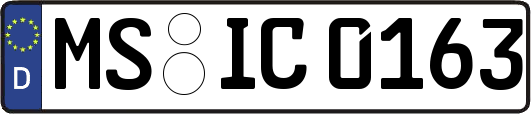 MS-IC0163