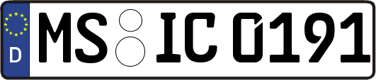MS-IC0191