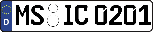 MS-IC0201