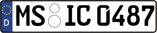 MS-IC0487