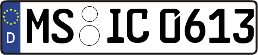 MS-IC0613