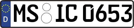 MS-IC0653