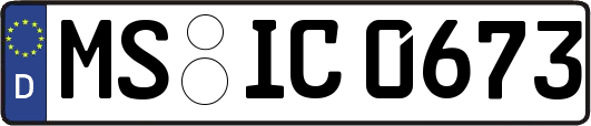 MS-IC0673