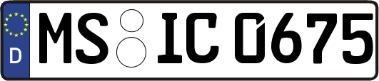 MS-IC0675