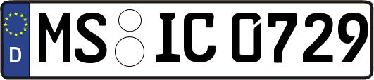 MS-IC0729