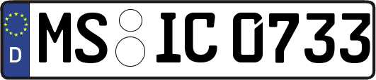 MS-IC0733