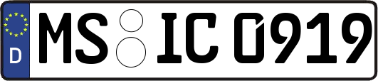 MS-IC0919