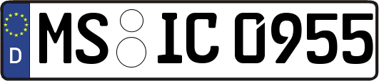 MS-IC0955