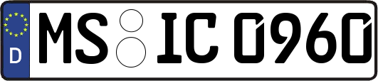 MS-IC0960