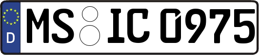 MS-IC0975
