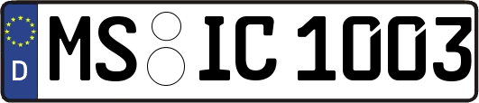 MS-IC1003