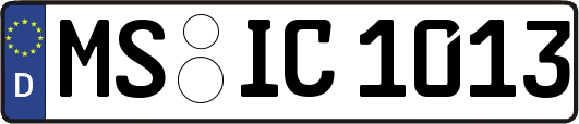 MS-IC1013