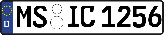 MS-IC1256
