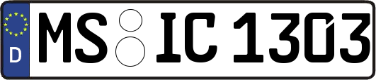 MS-IC1303