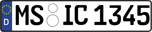 MS-IC1345