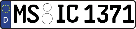 MS-IC1371