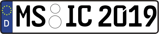 MS-IC2019