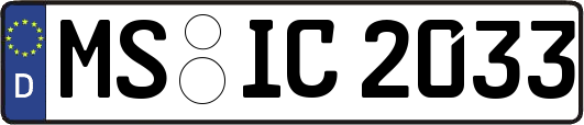 MS-IC2033