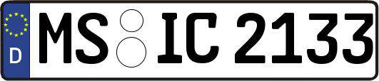 MS-IC2133