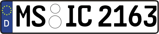 MS-IC2163