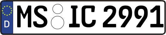 MS-IC2991
