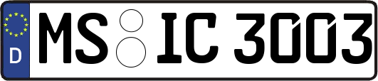 MS-IC3003