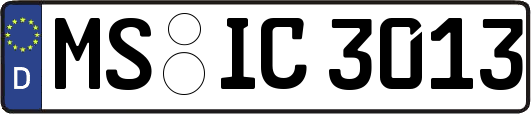 MS-IC3013