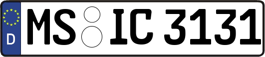 MS-IC3131
