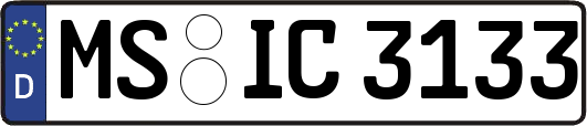 MS-IC3133