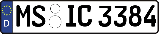 MS-IC3384