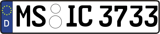 MS-IC3733