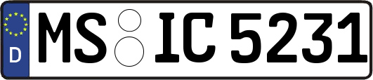 MS-IC5231