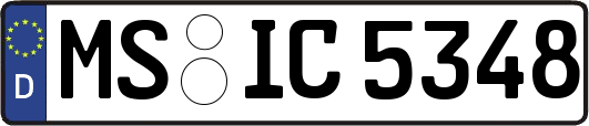 MS-IC5348