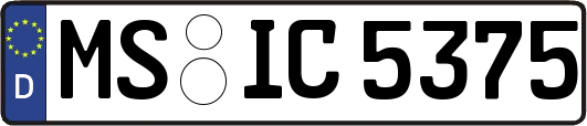 MS-IC5375