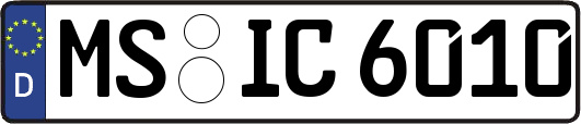 MS-IC6010
