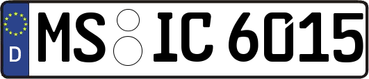 MS-IC6015