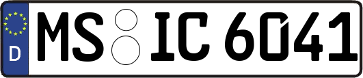MS-IC6041