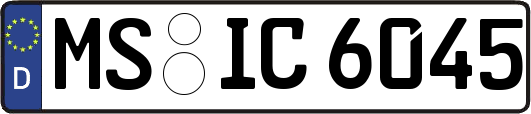 MS-IC6045