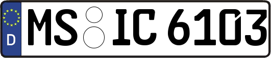 MS-IC6103
