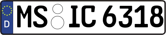 MS-IC6318