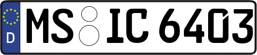 MS-IC6403