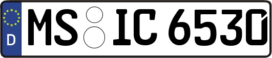 MS-IC6530