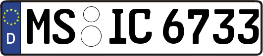MS-IC6733
